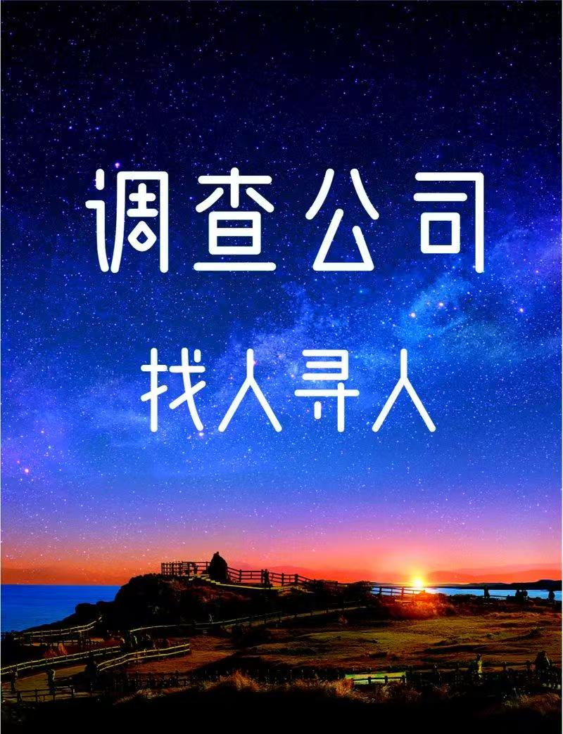 车辆位置查询系统有哪些？全面解析主流方案与选型指南