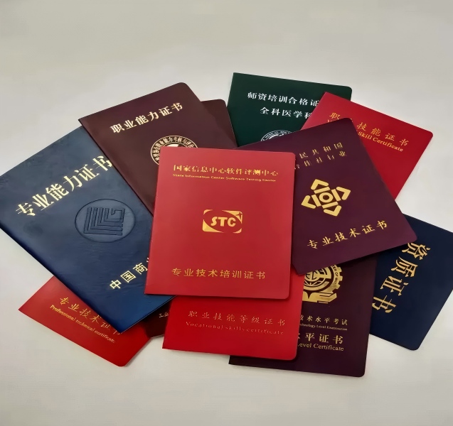 专业证件制作设计模板行业数据全景:7组数据揭示真相